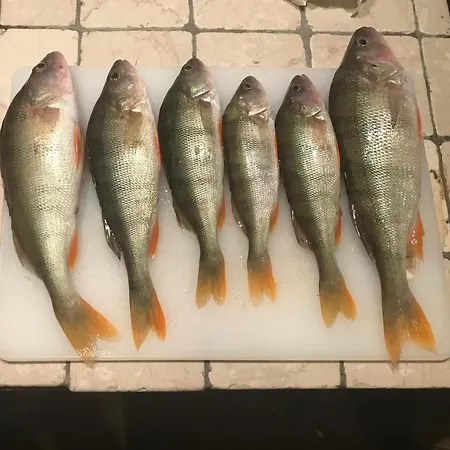 Live La Dolce Vita! Your Garda Deluxe Getaway Lejlighed Brenzone sul Garda